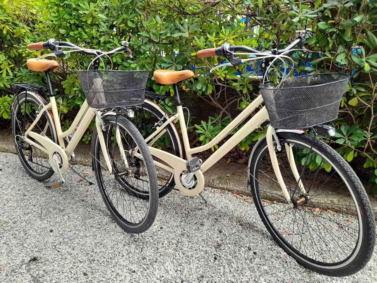 Apt Luminoso, Spazioso Con Aria Condiz E Bici Viareggio Eksteriør bilde